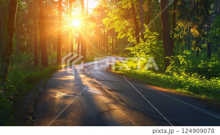 A panoramic view of a green forest and asphalt road basking in the warm light of the dipping sun 124909078