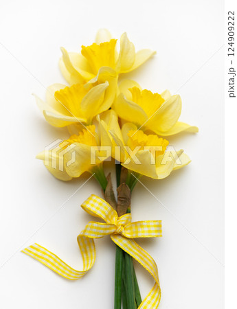 Yellow daffodils with ribbon bow lying on white background Yellow daffodils with ribbon bow lying on white background 124909222