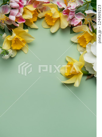 Daffodils and spring flowers creating a floral border on pastel green background Daffodils and spring flowers creating a floral border on pastel green background 124909223