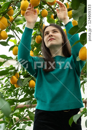 Woman in a lemonarium, lemon garden, greenhouse. Growing lemons. 124909333