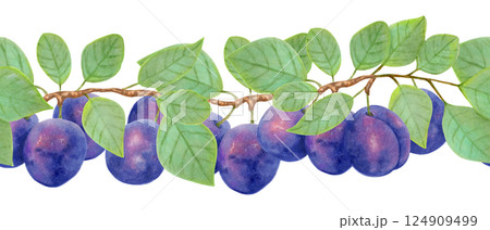 Branch of purple plum with leaves and whole fruits. Seamless border. Watercolor, marker illustration. Horizontal banner for farm labels menu design, recipes. Fruit harvest. Hand drawn isolated sketch. Branch of purple plum with leaves and whole fruits. Seamless border. Watercolor, marker illustration. Horizontal banner for farm labels menu design, recipes. Fruit harvest. Hand drawn isolated sketch. 124909499