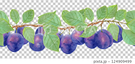 Branch of purple plum with leaves and whole fruits. Seamless border. Watercolor, marker illustration. Horizontal banner for farm labels menu design, recipes. Fruit harvest. Hand drawn isolated sketch. Branch of purple plum with leaves and whole fruits. Seamless border. Watercolor, marker illustration. Horizontal banner for farm labels menu design, recipes. Fruit harvest. Hand drawn isolated sketch. 124909499