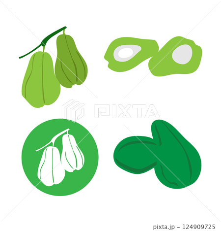 chayote fruit icon vector chayote fruit icon vector 124909725