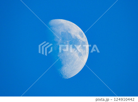 昼に見える月 124910442