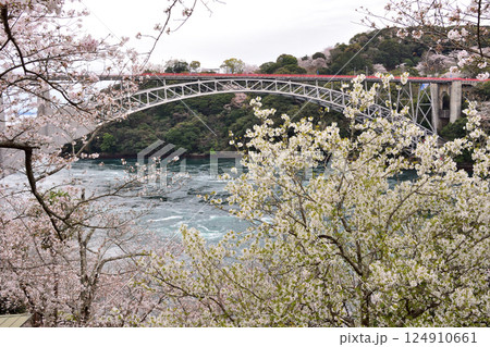 サクラと西海橋、井ノ浦瀬戸の渦潮 サクラと西海橋、井ノ浦瀬戸の渦潮 124910661