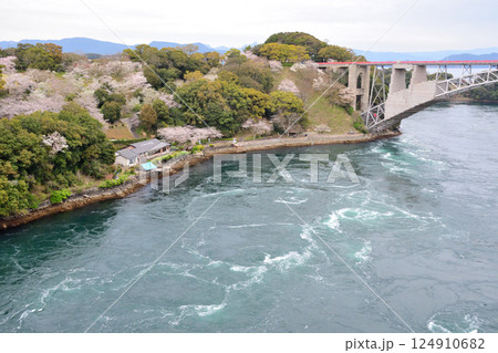 サクラと西海橋、井ノ浦瀬戸の渦潮 124910682