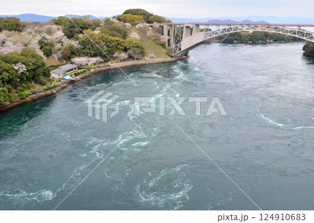 サクラと西海橋、井ノ浦瀬戸の渦潮 サクラと西海橋、井ノ浦瀬戸の渦潮 124910683