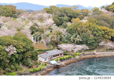 サクラと西海橋、井ノ浦瀬戸の渦潮 サクラと西海橋、井ノ浦瀬戸の渦潮 124910684
