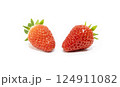 真っ赤なおいしそうないちご2つ 124911082