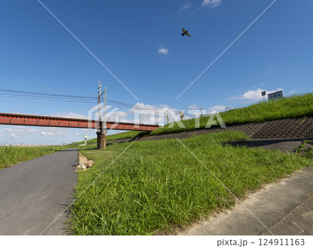 新緑の大和川堤防と近鉄道明寺線の鉄橋 124911163