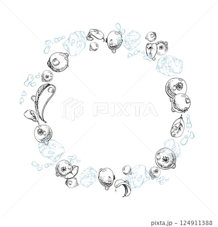 Cranberry lingonberry flying in water splash with ice cubes, drops and green leaves, vector hand drawn in ink, ripe forest berry. Isolated circle wreath frame for restaurant, cafe menu, farmers market 124911388