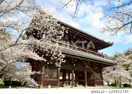 総本山根來寺(大門)　【和歌山県岩出市根来】 124911743