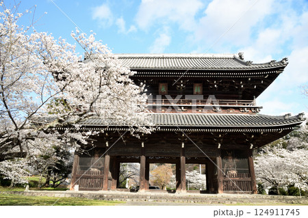 総本山根來寺(大門) 【和歌山県岩出市根来】 総本山根來寺(大門) 【和歌山県岩出市根来】 124911745