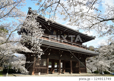 総本山根來寺(大門) 【和歌山県岩出市根来】 総本山根來寺(大門) 【和歌山県岩出市根来】 124911749