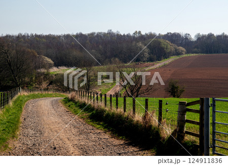 Farm Track in a Rural Location in Early Spring Farm Track in a Rural Location in Early Spring 124911836