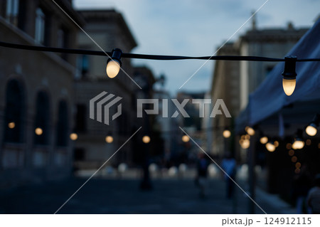 Decorative vintage street black light bulbs with white shade. Outdoor Street electric garland. Old light bulbs. String wired bulbs. Festoon string lights decoration at the party event. 124912115