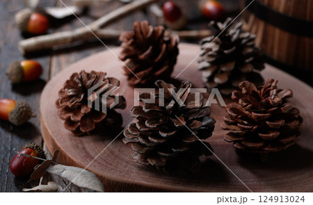 松ぼっくり　イメージ 124913024