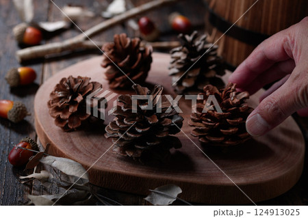 松ぼっくり イメージ 松ぼっくり イメージ 124913025