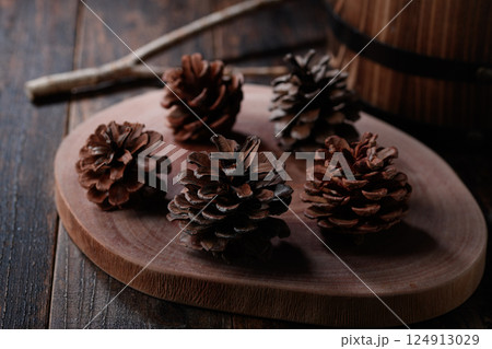 松ぼっくり　イメージ 124913029