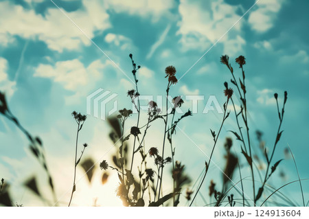 Field of tall grass with a clear blue sky in the background. 124913604