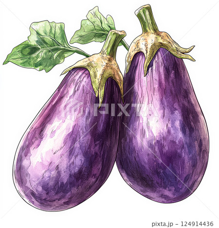 Two purple eggplants are shown in a watercolor painting. Two purple eggplants are shown in a watercolor painting. 124914436