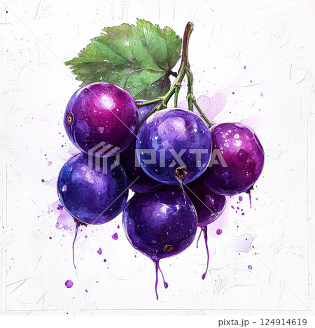 Bunch of purple grapes with droplets of water on them. 124914619