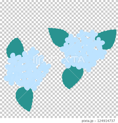 Cute light blue hydrangea 124914737