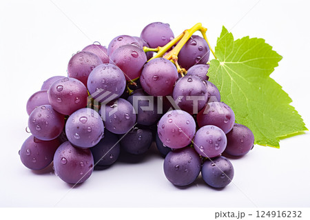 Bunch of purple grapes with a leaf on top 124916232