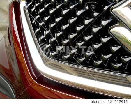 ファミリーカーのフロントグリル 124917415