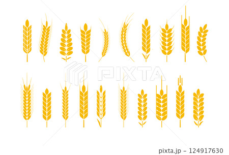 Wheat and rye logo ears. Barley rice grains and elements for beer or organic agricultural food. Vector 124917630