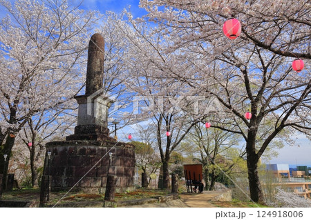 【熊本県】桜が満開の菊池公園の展望ベンチ 【熊本県】桜が満開の菊池公園の展望ベンチ 124918006