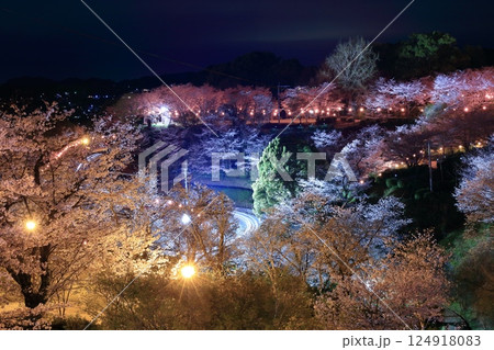 【熊本県】菊池公園の夜桜 124918083