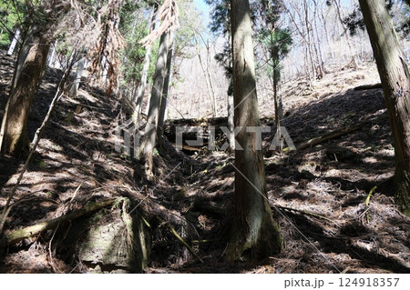群馬県南牧村　大仁田ダムから右回りで登る登山道　小さな谷にあった木材の堰　2025年4月9日 124918357