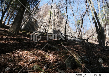 群馬県南牧村 三ツ岩岳山頂から竜王大権現方面に下るとき見た岸壁 2025年4月9日 群馬県南牧村 三ツ岩岳山頂から竜王大権現方面に下るとき見た岸壁 2025年4月9日 124918369