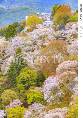 桜満開の世界遺産　早朝の吉野山 124918630