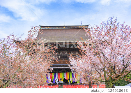桜満開の世界遺産　早朝の吉野山 124918658