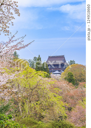 桜満開の世界遺産 早朝の吉野山 桜満開の世界遺産 早朝の吉野山 124918660