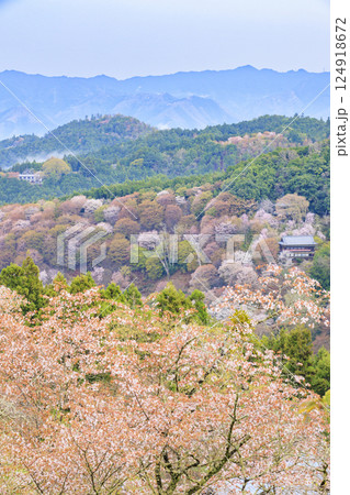 桜満開の世界遺産　早朝の吉野山 124918672
