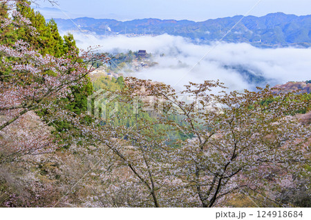桜満開の世界遺産　早朝の吉野山 124918684