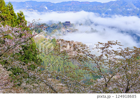 桜満開の世界遺産 早朝の吉野山 桜満開の世界遺産 早朝の吉野山 124918685