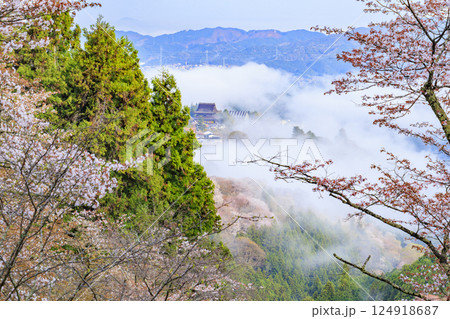 桜満開の世界遺産　早朝の吉野山 124918687