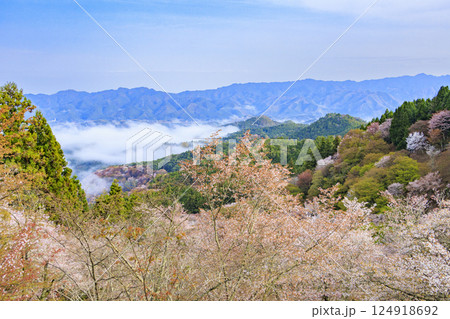 桜満開の世界遺産　早朝の吉野山 124918692