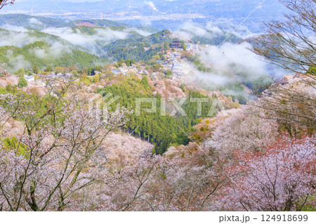 桜満開の世界遺産　早朝の吉野山 124918699