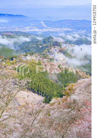 桜満開の世界遺産　早朝の吉野山 124918702