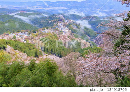 桜満開の世界遺産　早朝の吉野山 124918706