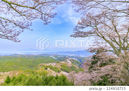 桜満開の世界遺産　早朝の吉野山 124918725
