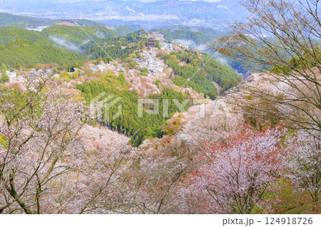 桜満開の世界遺産 早朝の吉野山 桜満開の世界遺産 早朝の吉野山 124918726