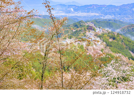 桜満開の世界遺産　早朝の吉野山 124918732