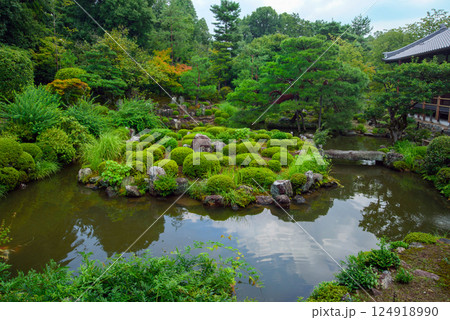 緑に包まれた等持院庭園 124918990