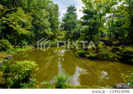 池のある等持院の庭園 124918996